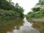 IMG 4476